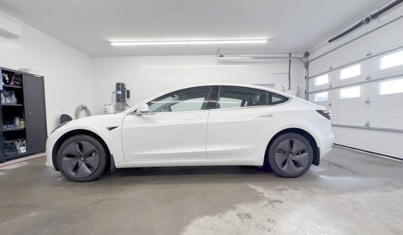 2019 Tesla Model 3 Standard Range Plus full