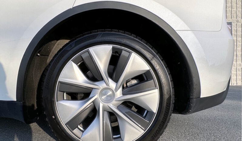 2023 Tesla Model Y Long Range AWD full