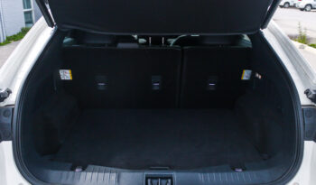 2022 Ford Mustang MACH-E Premium AWD full